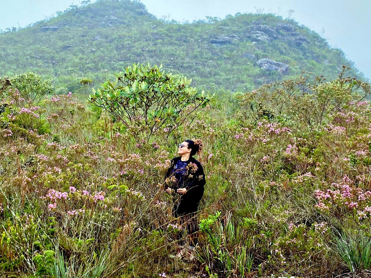 Monitoramento ecológico