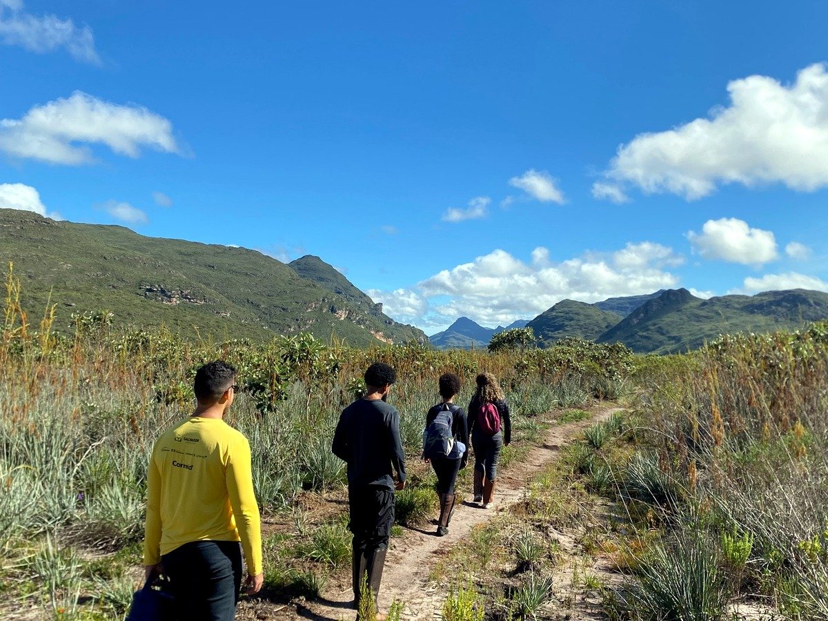 Flores, campo e biodiversidade